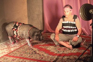 Das Schwein von Gaza - Bild 3