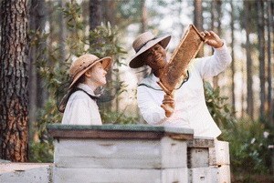 Die Bienenhüterin - Bild 2